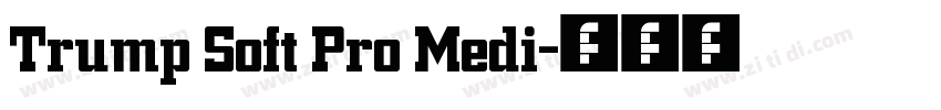 Trump Soft Pro Medi字体转换